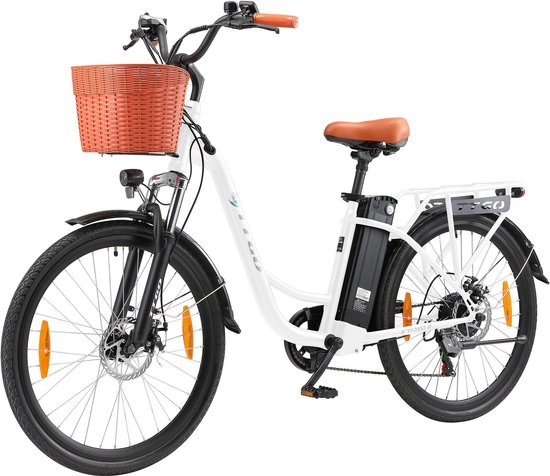 Elektrische Fiets TTGO YY-26ST