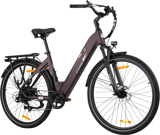 Elektrische Stadsfiets TTGO C3 SE - 250W Motor - 36V 18Ah Accu - 28 Inch